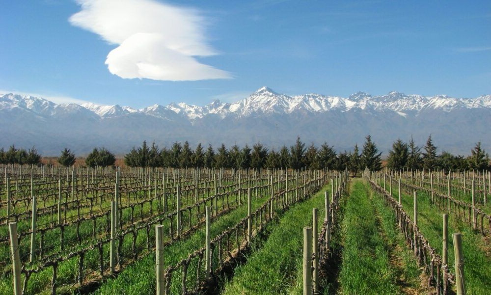 Culturas de regiões vinícolas de Mendoza