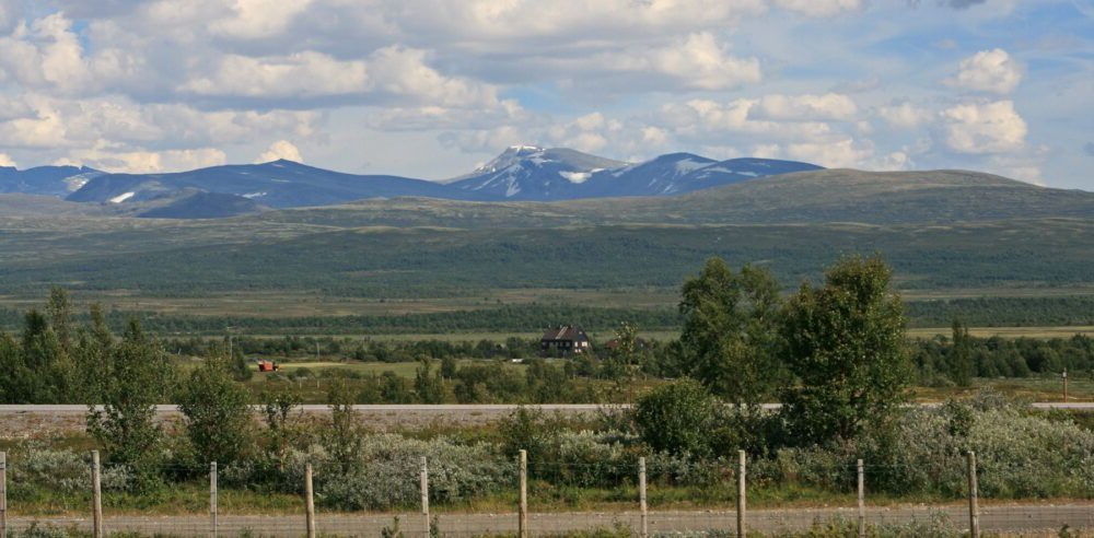 Parque Nacional Dovrefjell Sunndalsfjella