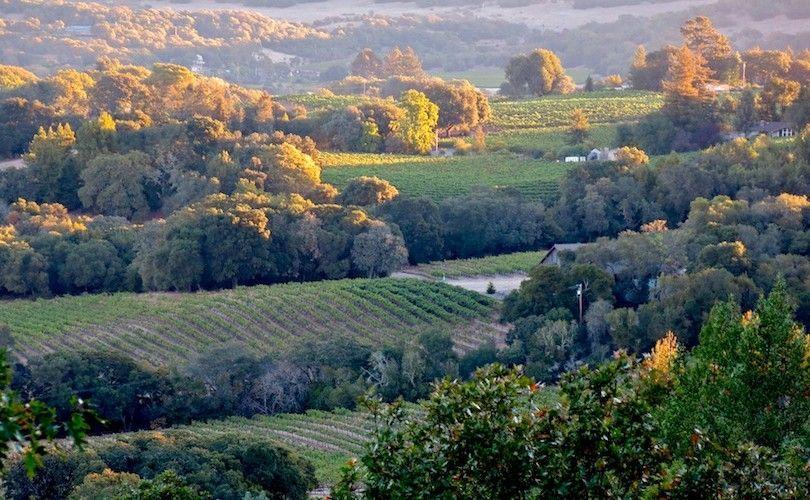 região vinícola de Sonoma