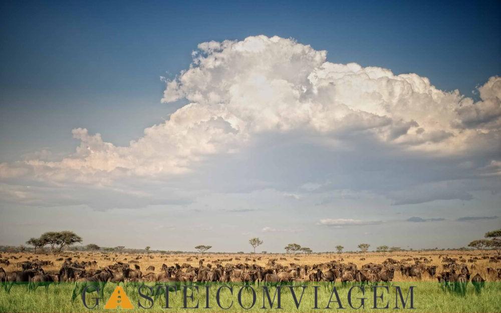 Saber mais sobre o Parque Nacional Serengeti