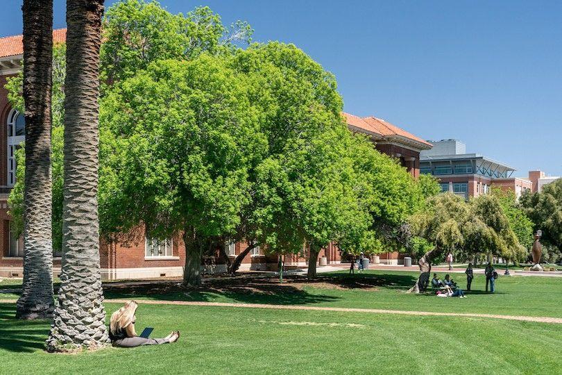 Universidade do Arizona campus