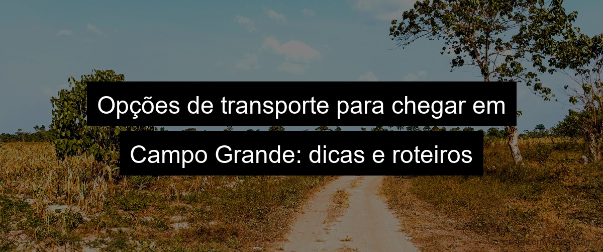 Opções de transporte para chegar em Campo Grande: dicas e roteiros