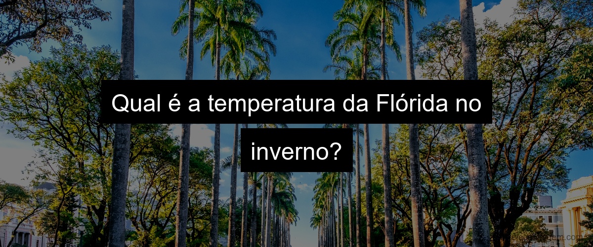 Qual é a temperatura da Flórida no inverno?