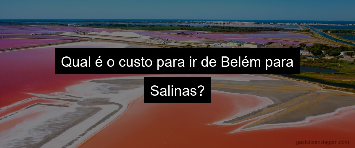 Qual é o custo para ir de Belém para Salinas?