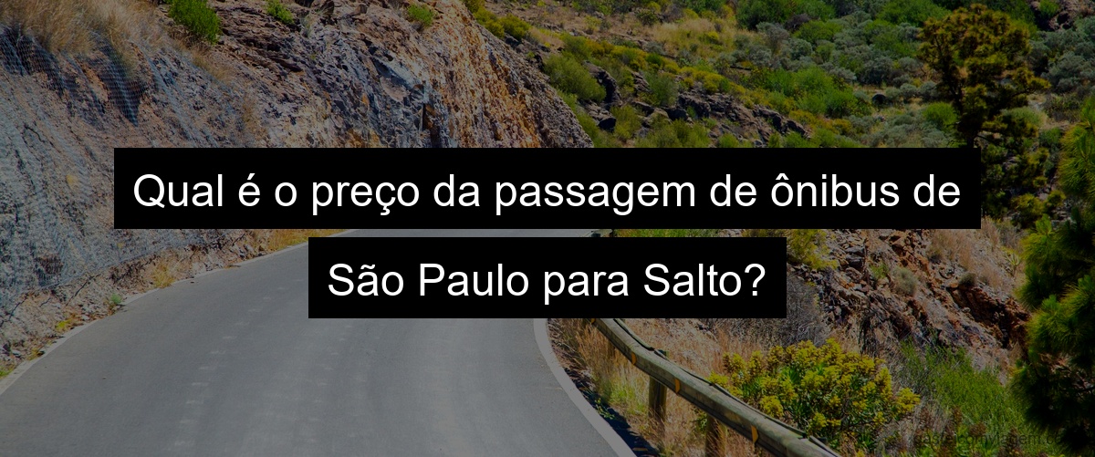 Qual é o preço da passagem de ônibus de São Paulo para Salto?