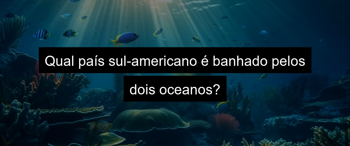 Qual país sul-americano é banhado pelos dois oceanos?